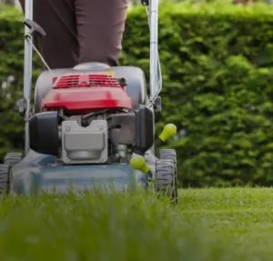 What I Should Know About Running Lawncare Business In Virginia ualawncare