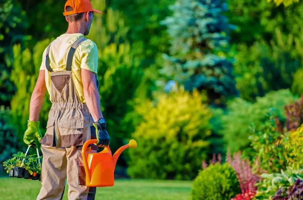 What Insurance Company Should You Use For Lawn Business Insurance ualawncare