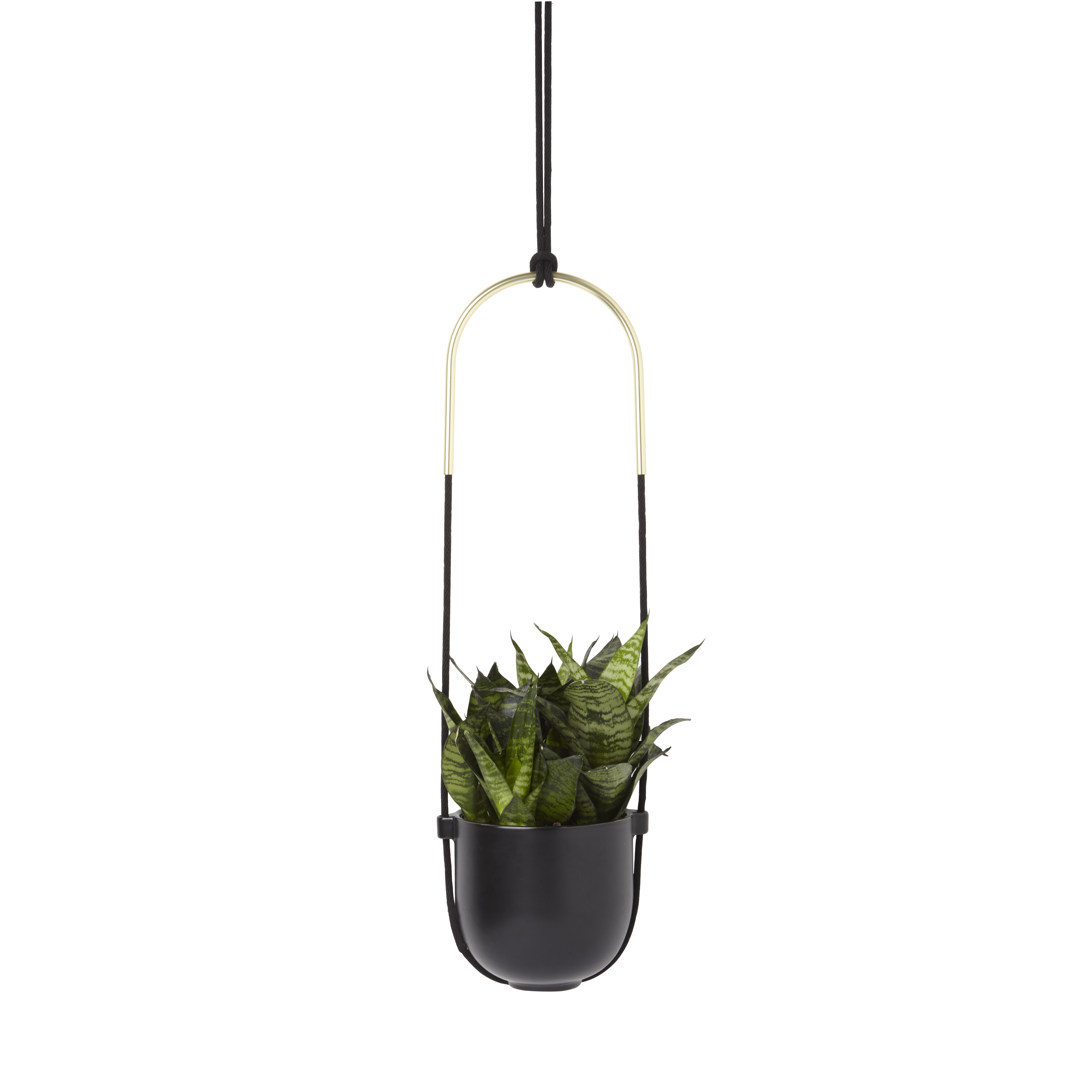 Umbra-Bolo-Ceramic-Hanging-Wall-Planter-Black-ualawncare