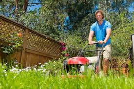Mowing Your Yard Steppin' and Calorie Burn ualawncare