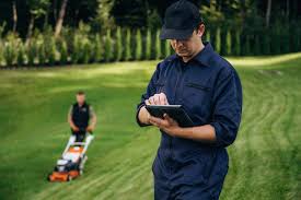 Business Advice For Small Business Owners, Lawncare ualawncare thats a green yard